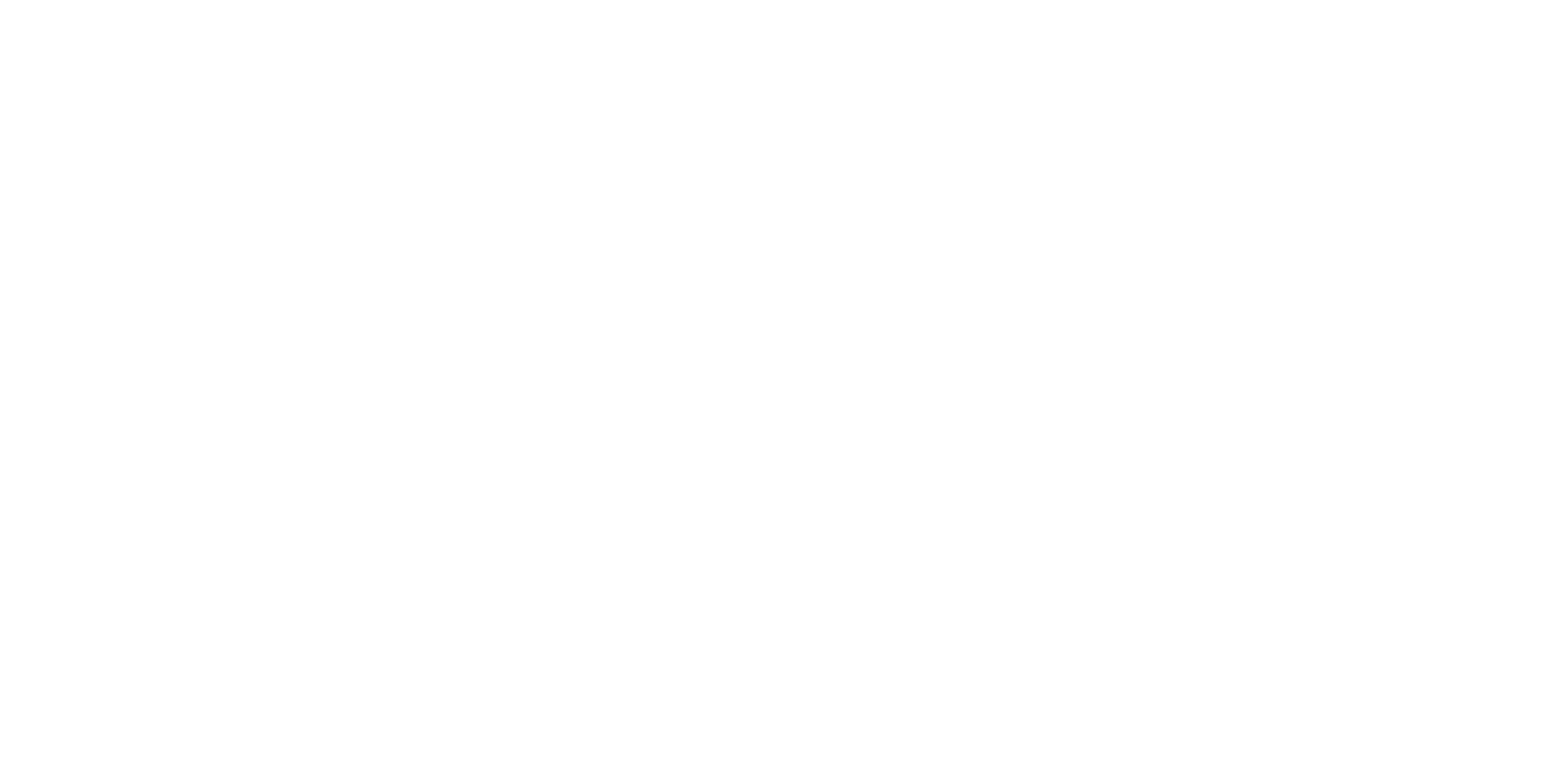 WDR Logo White